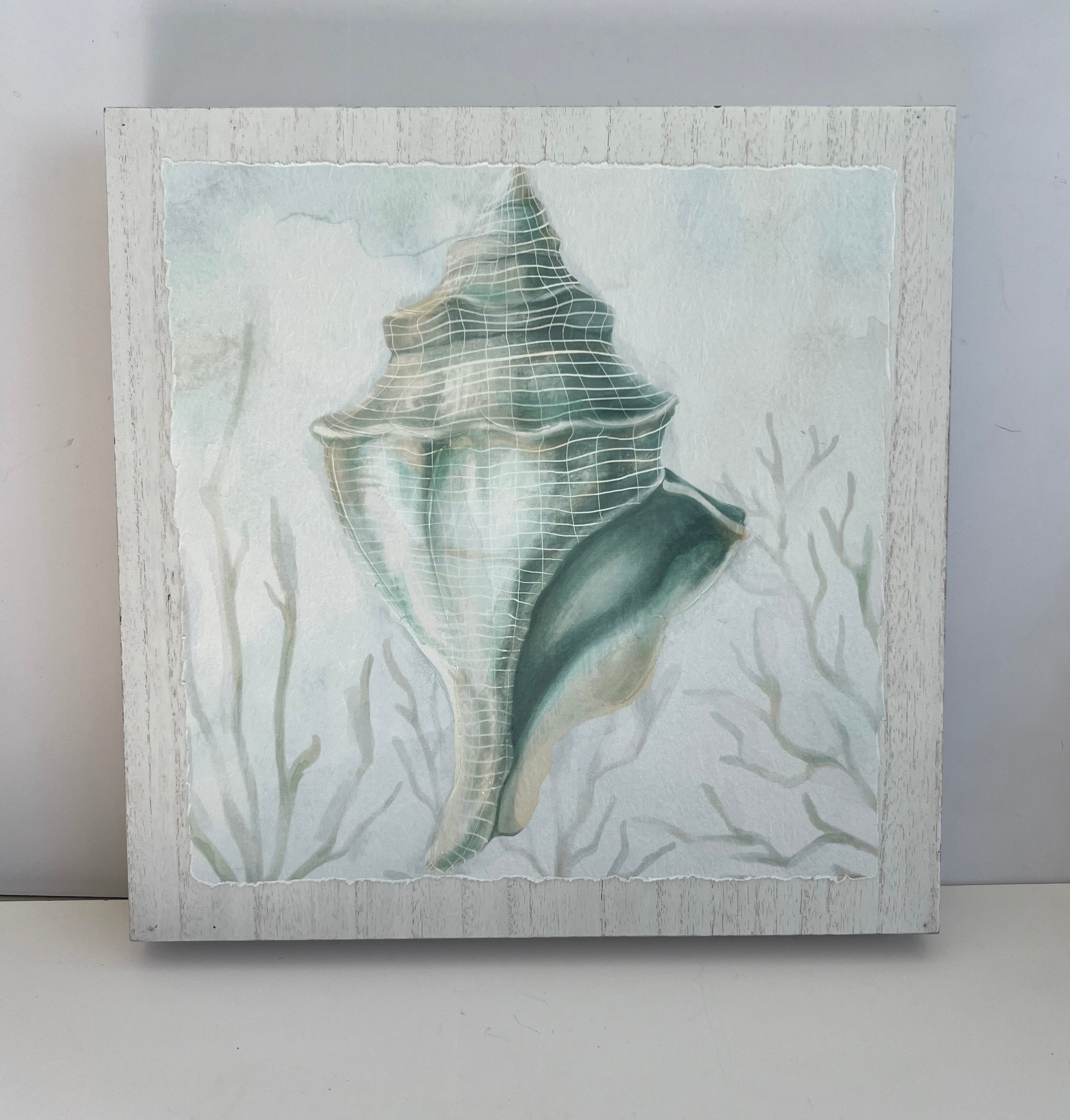 Wood Framed Conch Shell Art