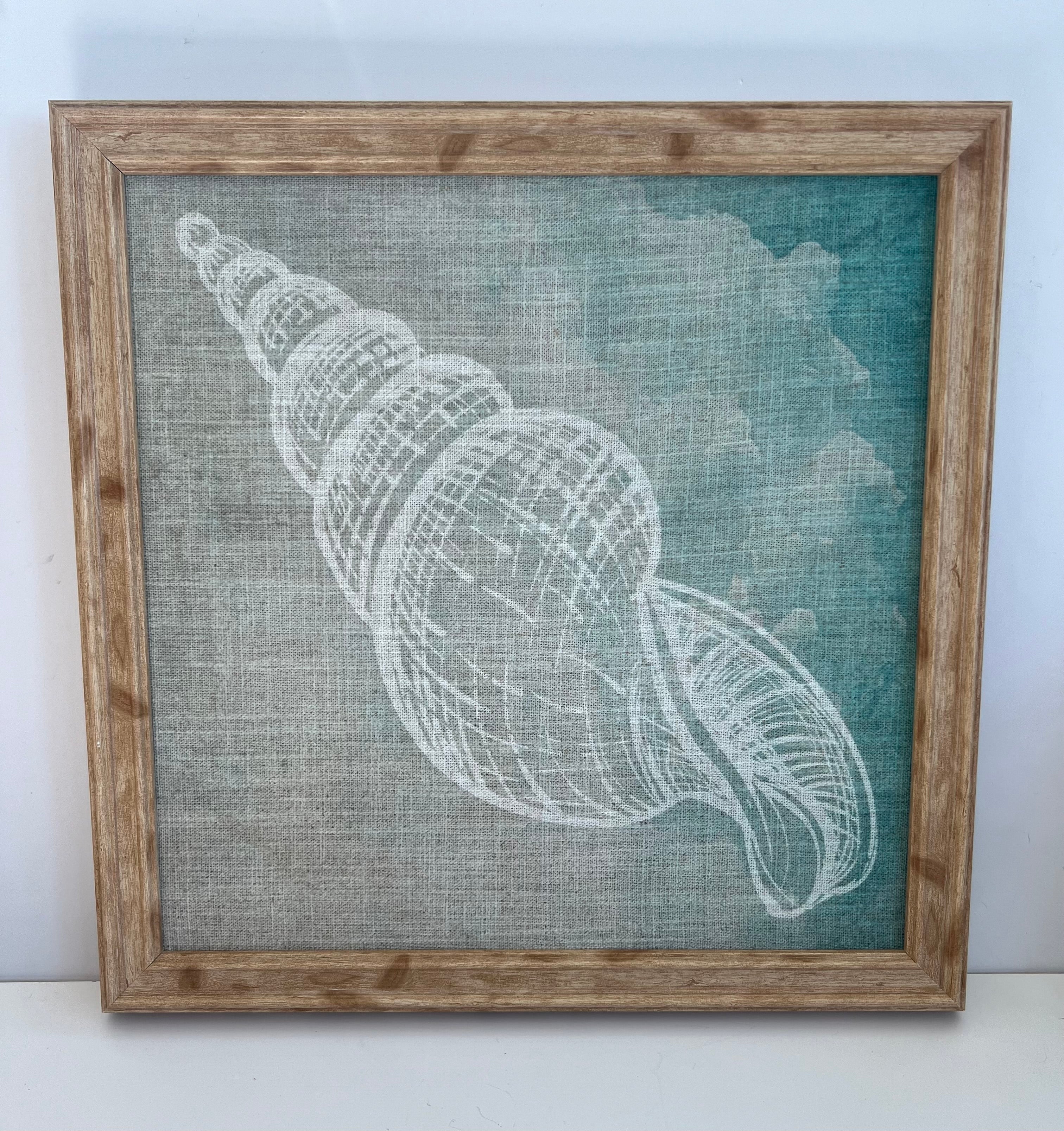 Wood Framed Shell Art