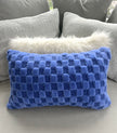 Fuzzy Blue Checkered Pillow