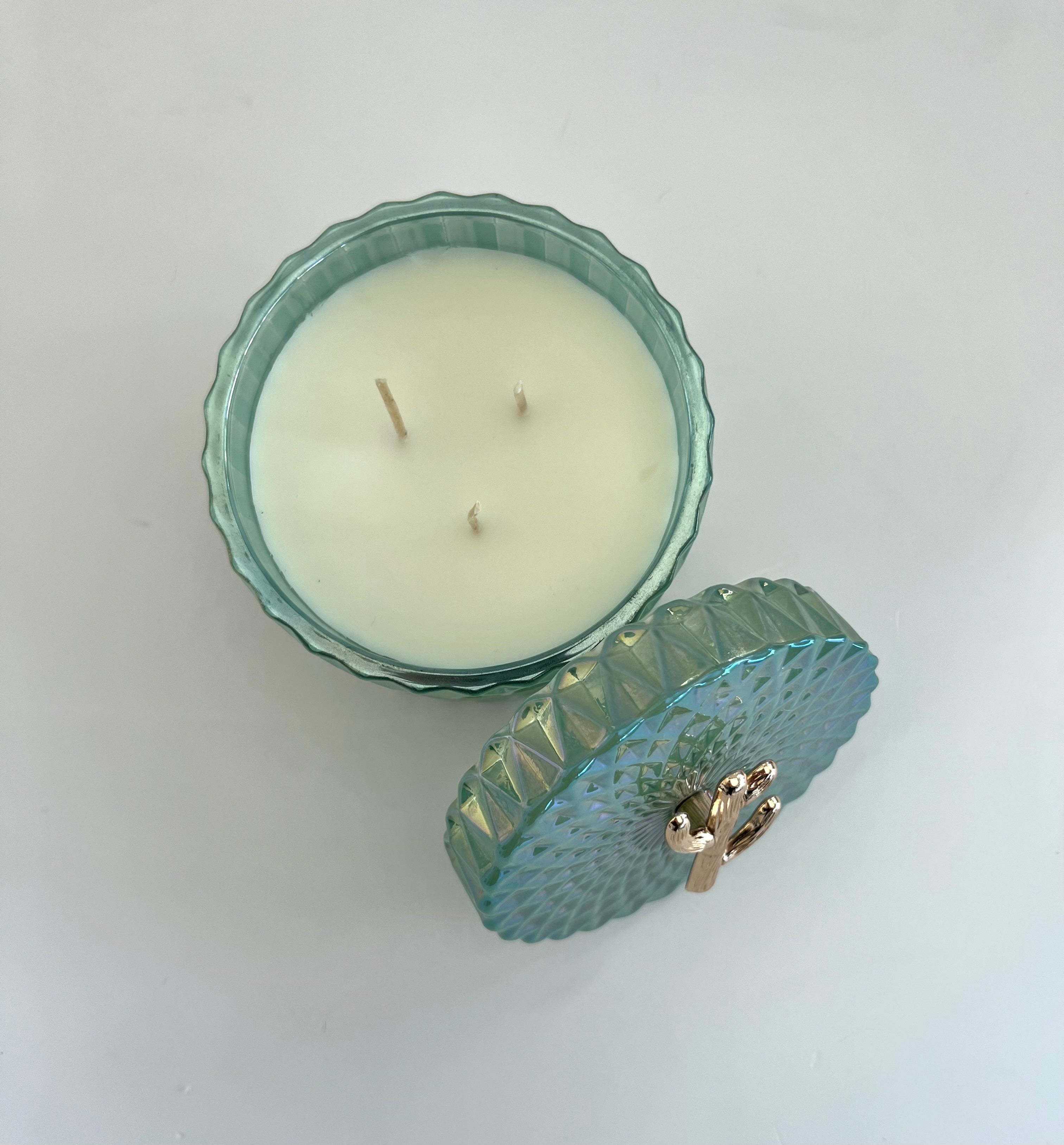 Cactus Candle | Passiflora Scent