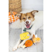 Thanksgiving Dinner Dog Toys (Set of 3)